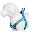 Blueberry Pet Essentials Classic Durable Solid Nylon Step-in Dog Harness, Chest Girth 20 - 26, Turquoise, Medium, Adjustable Harnesses for Puppy Boy Girl Dogs