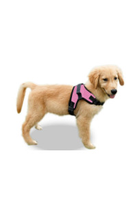 Copatchy No Pull Reflective Adjustable Dog Harness with Handle (X-Small, Pink)
