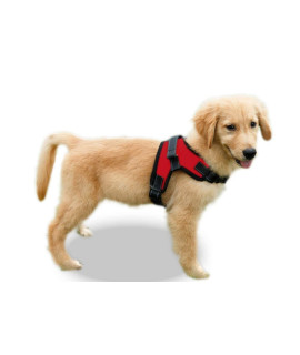 Copatchy No Pull Reflective Adjustable Dog Harness with Handle (X-Small, Red)