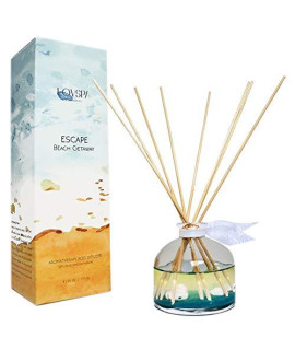 LOVSPA Escape Beach getaway Ocean Scented Reed Diffuser Oil Set Fresh citrus Marine Scent & Woodsy Amber Made with Real Sea Shells Beach House Decor great Idea