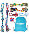 AMZpets 10 Dog Toys for Small Dogs and Puppies, Squeaky Dog Toys Rope Toys for Plush Games, with Chewing Ropes/Balls/Rubber Bone/Carry Bag, Variety Playing Toys Set for Toss and Tug Play
