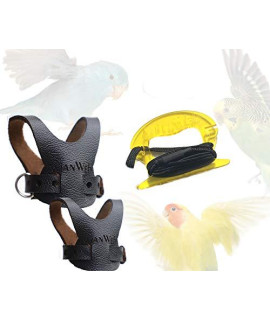 Avianweb EZ Rider Bird Harness with 8 Ft Leash (Parrotlets, Lovebirds, Budgies) Black