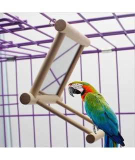 Bird?irror Bird Swing, Parrot Cage Toys,Swing Hanging Play with Mirror for Macaw African Greys Parakeet Cockatoo Cockatiel Conure Lovebirds Canaries by Old Tjikko,1 PC (3.7x3.5 x3.5inch)
