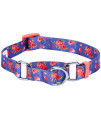 Blueberry Pet Spring Scent Inspired Rose Print Martingale Safety Training Dog Collar, Irish Blue, Large, Heavy Duty Adjustable Collars for Dogs