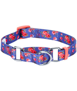 Blueberry Pet Spring Scent Inspired Rose Print Martingale Safety Training Dog Collar, Irish Blue, Large, Heavy Duty Adjustable Collars for Dogs