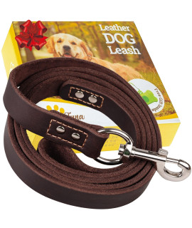 ADITYNA Leather Dog Leash 6 ft x 3/4 inch - Soft and Strong Leather Leash for Large and Medium Dog Breeds - Heavy Duty Dog Training Leash (Brown)
