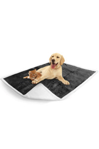 PetAmi Waterproof Dog Blanket for Medium Large Dog, Pet Puppy Blanket Couch Cover Protection, Sherpa Fleece Cat Blanket, Sofa Bed Furniture Protector Reversible Soft Plush Washable, 60x40 Charcoal