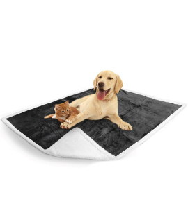PetAmi Waterproof Dog Blanket for Medium Large Dog, Pet Puppy Blanket Couch Cover Protection, Sherpa Fleece Cat Blanket, Sofa Bed Furniture Protector Reversible Soft Plush Washable, 60x40 Charcoal