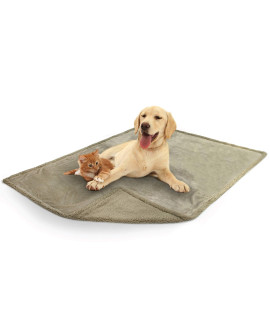 PetAmi Waterproof Dog Blanket for Medium Large Dog, Pet Puppy Blanket Couch Cover Protection, Sherpa Fleece Cat Blanket, Sofa Bed Furniture Protector Reversible Soft Plush Washable, 60x40 Taupe Taupe