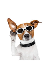 Vevins Dog Goggles Sunglasses for Middle & Large Dog, UV Protective Foldable Pet Sunglasses Adjustable Waterproof Eyewear(White)