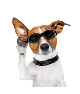 Vevins Dog Goggles Sunglasses for Middle & Large Dog, UV Protective Foldable Pet Sunglasses Adjustable Waterproof Eyewear(Black)