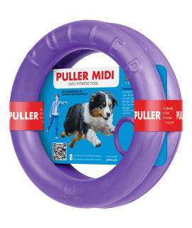 Puller Outdoor Dog Ring Toys - Dog Fetch Toy & Tug of War Dog Toy for Small Medium Large Dogs - Dog Ball & Soft Dog Frisbee Alt - Outside Dog Yard Toys - Big Dog Pull Toy - Best Dog Exercise Equipment