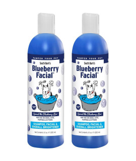 South Bark's Blueberry Facial Shampoo for Dogs & Cats (12 oz.) 2 Pack Brightener & Tear Stain Remover Biodegradable & Non-Toxic Made in USA