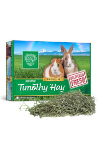 Small Pet Select 2nd cutting Perfect Blend Timothy Hay Pet Food for Rabbits, guinea Pigs, chinchillas and Other Small Animals, Premium Natural Hay grown in The US, 2 LB