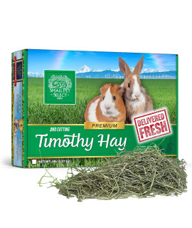 Small Pet Select 2nd cutting Perfect Blend Timothy Hay Pet Food for Rabbits, guinea Pigs, chinchillas and Other Small Animals, Premium Natural Hay grown in The US, 2 LB
