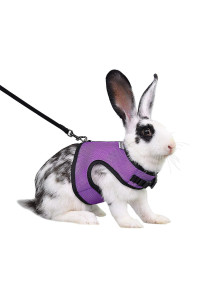 Niteangel Adjustable Soft Harness with Elastic Leash for Rabbits (M, Purple)