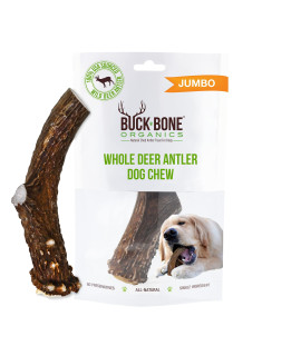 Buck Bone Organics Deer Antler Dog Bones, Premium Grade A - Natural Dog Treat, Made in Montana (Medium)