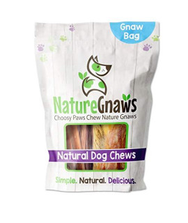 Nature Gnaws Variety Pack Of Dog Chews And Bully Sticks - Long Lasting Gnaw Treats Bag For Puppies And Active Dogs - Natural And Rawhide Free Bones - Small Dogs
