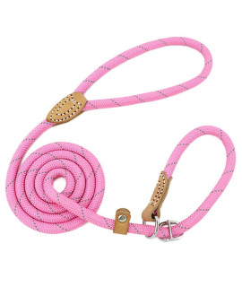 Grand Line Slip Lead Dog Leash, 5FT Reflective Slip Rope, Puppy Training Walking Controlling Lead, Slip Collar Pet Leash for Small, Medium, Large Dogs (Pink, Medium-2/5in x 5ft)
