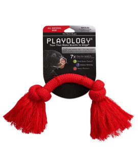 Playology Dri Tech Rope Dog Chew Toy - for Medium Dogs (15-35lbs) Beef Scented Dog Toys for Heavy Chewers - Engaging, All-Natural, Interactive and Non-Toxic