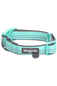 Blueberry Pet Soft & Safe 3M Reflective Neoprene Padded Adjustable Dog Collar - Mint Blue Pastel Color, Medium, Neck 14.5-20