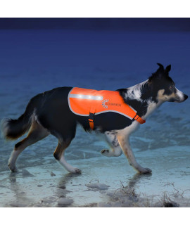 Illumiseen LED Dog Hunting Vest Orange Safety Jacket with Reflective Strips & USB Rechargeable LED Lights Increase Dog? Visibility When Walking, Running, Training Outdoors (X-Small, Orange)