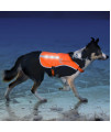 Illumiseen LED Dog Hunting Vest Orange Safety Jacket with Reflective Strips & USB Rechargeable LED Lights Increase Dog? Visibility When Walking, Running, Training Outdoors (Small, Orange)