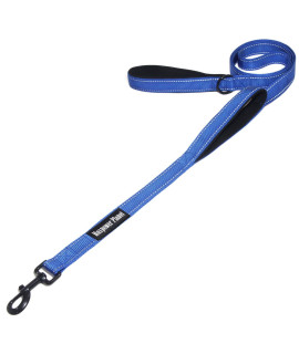 Maxpower Planet 6 Feet Dog Leash with Double Padded Handle, Heavy Duty, Reflective - Leashes for Medium and Large Dogs,Blue
