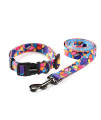 Ihoming Puppy Collar and Leash Set for Daily Outdoor Walking Running Training, Geometric Design for Extra Small Boys Girls Dogs Cats Pets, XS-Up to 10LBS