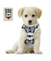 Bark Lover Small Puppy Harness with Bowtie, Adjustable Dog Vest Mesh Tuxedo Harness for Small Dog Kitten, Perfect for Party Wedding Holiday (S, Blue Plaid)