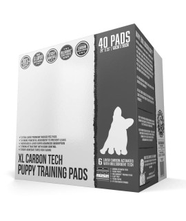 Bulldoglogy Carbon Black XL Puppy Pee Pads with Adhesive Sticky Tape - Extra Large Charcoal Housebreaking Dog Training Wee Pads (24x35) (40-Count, Black)