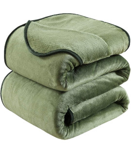 HOZY Soft Blanket Travel Size Fleece Warm Fuzzy Throw Blankets for The Bed Sofa Lightweight 350gSM green 5061