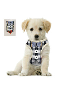Bark Lover Small Puppy Harness with Bowtie, Adjustable Dog Vest Mesh Tuxedo Harness for Small Dog Kitten, Perfect for Party Wedding Holiday (M, Blue Plaid)