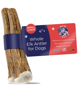 Devil Dog Pet Co Antler Dog Chews - Premium Elk Antlers for Dogs - Long Lasting Dog Bones for Aggressive Chewers - Wild Shed in The USA - Veteran Owned (Small 2-Pack)