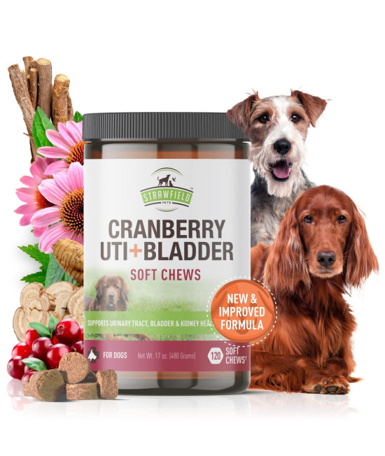 Strawfield Pets' Cranberry UTI + Bladder Chews Cranberry Supplement for Dogs Urinary Tract - Allergy Safe Peanut Butter Flavor 120 Crunchy Chewables