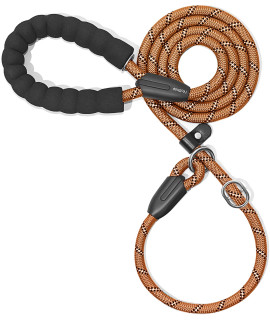 iYoShop 6 FT Durable Slip Lead Dog Leash with Padded Handle and Highly Reflective Threads, Dog Training Leash, (Medium/Large, 35~120 lbs., Brown)