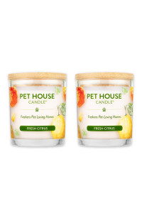 One Fur All, Pet House Candle-100% Plant-Based Wax Candle-Pet Odor Eliminator for Home-Non-Toxic and Eco-Friendly Air Freshening Scented Candles-Odor Eliminating Candle-(Pack of 2, Fresh Citrus)