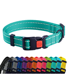 CollarDirect Reflective Dog Collar for a Small, Medium, Large Dog or Puppy with a Quick Release Buckle - Boy and Girl - Nylon Suitable for Swimming (12-16 Inch, Mint Green)