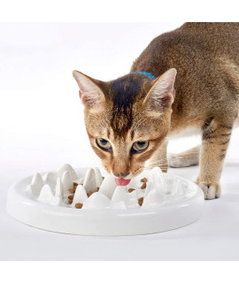 Slow Food Bowl for Cats,Fun Interactive Pet Feeding Bowl,Fish Design Feeding Tray Prevents Cats from Gulping,Indigestion and Obesity,Slow Feeder for Cats and Puppies,Dishwasher Safe.