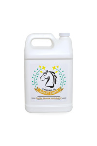 Smart Earth Camelina Horse Oil (1 Gal) - Non-GMO Camelina Oil for Horses with Vitamin E, Omega 3, 6 & 9 - Horse Oil Supplement Supports Healthy Horse Weight Gain - Joint Health & Horse Coat Supplement