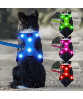 DOMIGLOW USB Rechargeable LED Dog Harness - Glowing Pet Harness Mesh Light Up Dog Vest Apparel for Small Dogs (S, Red)