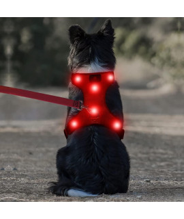DOMIGLOW Safety LED Dog Harness - Easy Control No Pull Light Up Dog Vest - USB Rechargeable Glowing Dog Harness Perfect for Night Walking & Camping (Red, L)