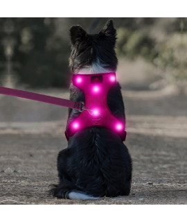 Domi LED Dog Harness, USB Rechargeable Lighted Dog Vest Harness, No Pull Pet Vest Harness with Comfortable Padded Suit for Your Small Medium Large Dogs(S, Pink)