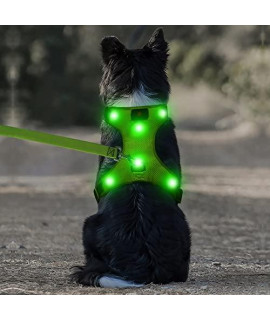 DOMIGLOW Light Up Dog Harness - USB Rechargeable LED Dog Harness, Glowing LED Dog Vest for Night Dog Walking (Small, Green)