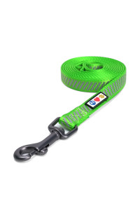 Pawtitas Pet Leash Puppy Leash Reflective Dog Leash Comfortable Handle a Heavy Duty with Highly Visibility Threads Reflective Dog Training Leash - 6 Foot Green Dog Leash
