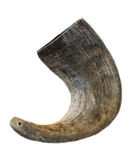 WhiteTail Naturals- Water Buffalo Horn for Large Dogs (Extra Large XL) - All-Natural Buffalo Horn Dog Chew - Long Lasting Dog Bone for Aggressive Chewers