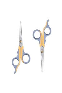 LIVINGO Professional Pet Grooming Scissors for Cats & Dogs, Titanium Coated Safe Rounded Tip and Micro Serrated Trimming Shears for Animal Face, Nose, Ear and Paw Hair, 2 Pack 6.5 inch