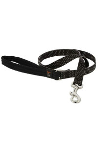 LupinePet Eco 34 charcoal 6-Foot Padded Handle Leash for Dogs