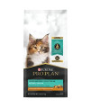 Purina Pro Plan With Probiotics, High Protein Dry Kitten Food, Shredded Blend Chicken & Rice Formula - 5 lb. Bag