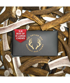 The Antler Box Premium Elk Antler Dog Chews (1 Pound Box) (X-Large (2 Pieces) Whole/Split Mixed)